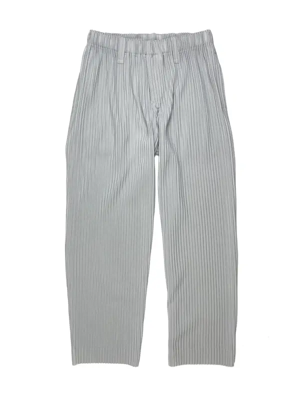 Issey Miyake Homme Plissé Pants